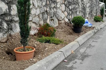 Pokopališče gredica ob cesti1